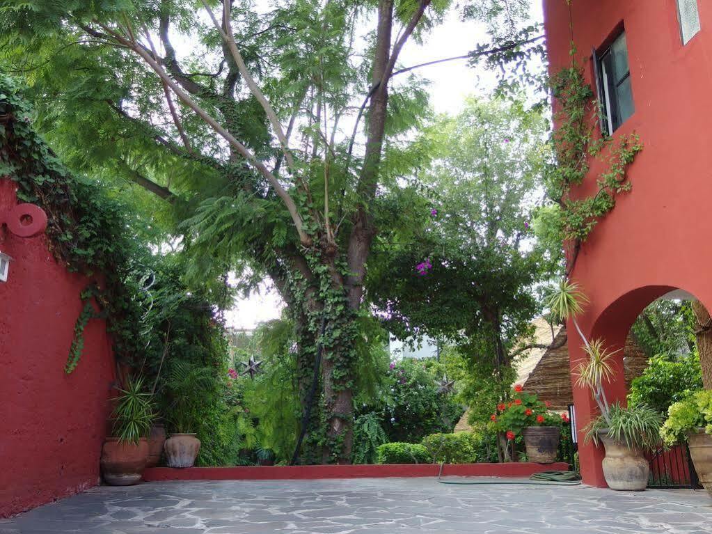 Casa De Las Conservas Comfort San Miguel de Allende Esterno foto
